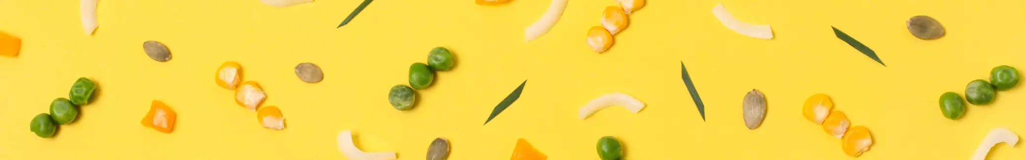 Vorspeisen placeholder